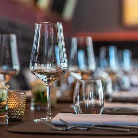 Qube Bergheim 4* Χαϊδελβέργη